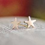 Gold-Filled Star Post Earrings